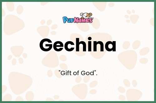 Gechina dog name meaning