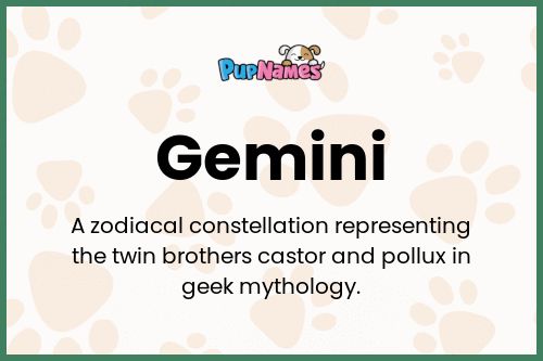 Gemini dog name meaning