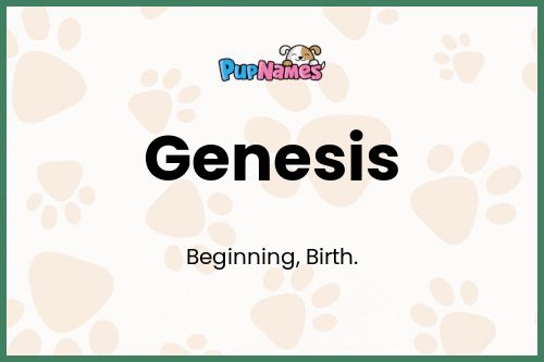 Genesis dog name meaning