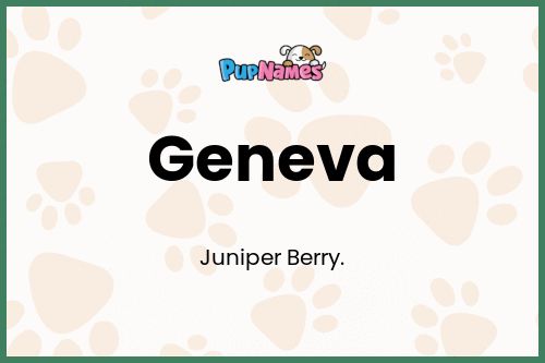 Geneva dog name meaning