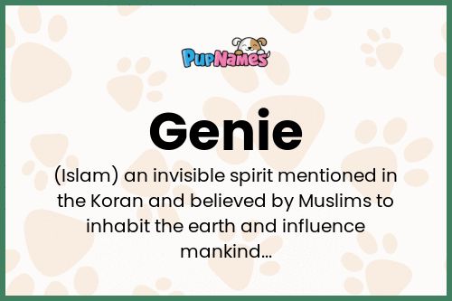 Genie dog name meaning