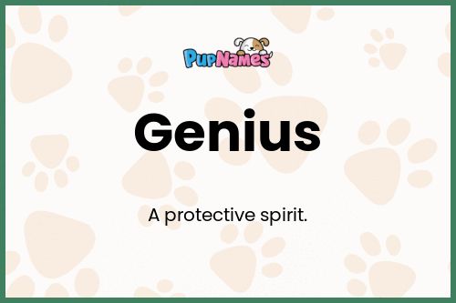 Genius dog name meaning