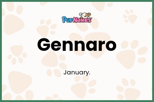 Gennaro dog name meaning