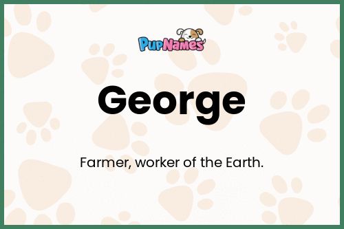 George dog name meaning