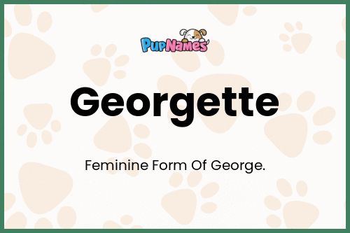 Georgette dog name meaning