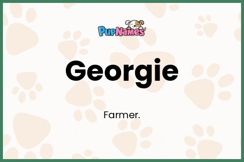 Georgie dog name meaning