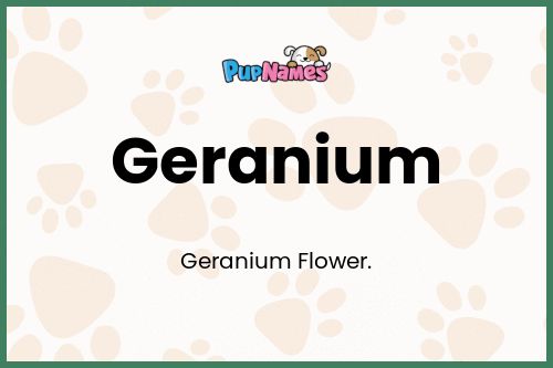 Geranium dog name meaning