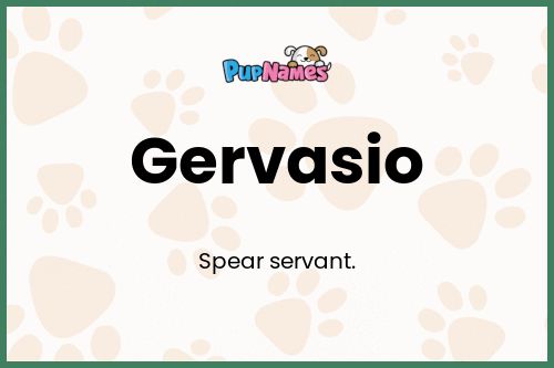 Gervasio dog name meaning