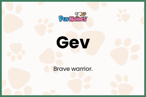 Gev dog name meaning