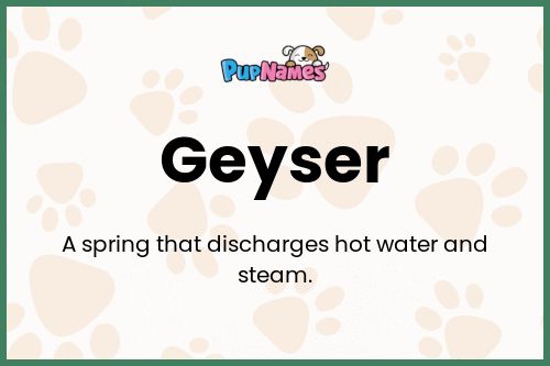 Geyser dog name meaning