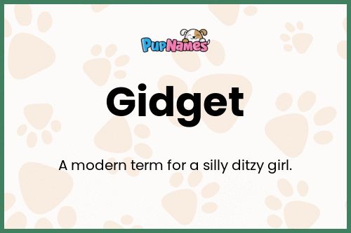 Gidget dog name meaning