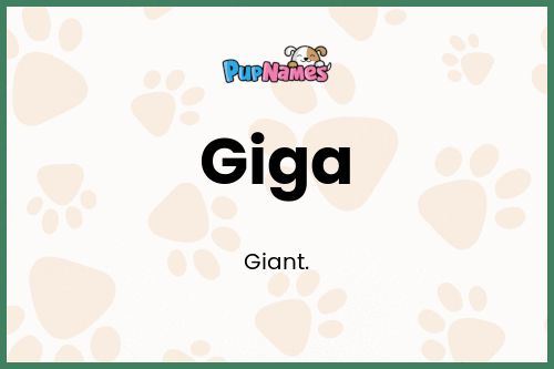 Giga dog name meaning