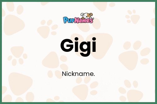 Gigi dog name meaning