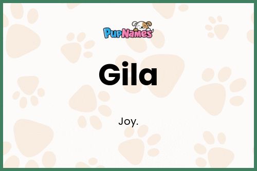 Gila dog name meaning