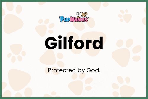 Gilford dog name meaning