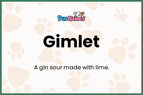 Gimlet dog name meaning