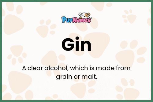 Gin dog name meaning