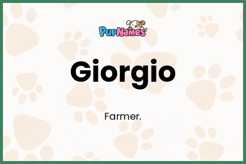 Giorgio dog name meaning