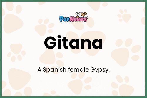 Gitana dog name meaning