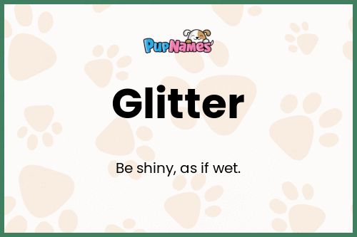 Glitter dog name meaning