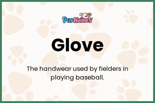 Glove dog name meaning