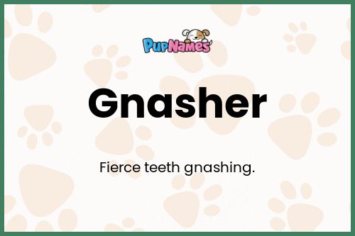 Gnasher dog name meaning