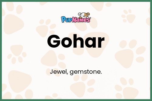 Gohar dog name meaning