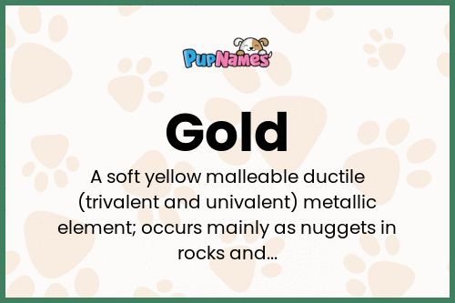 Gold dog name meaning