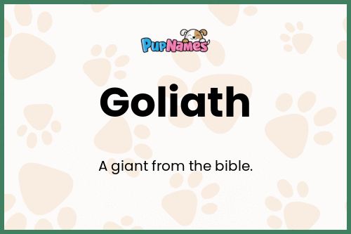 Goliath dog name meaning