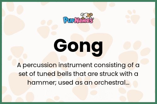 Gong dog name meaning