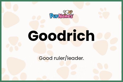 Goodrich dog name meaning