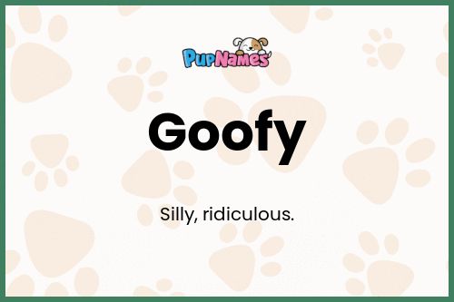 Goofy dog name meaning