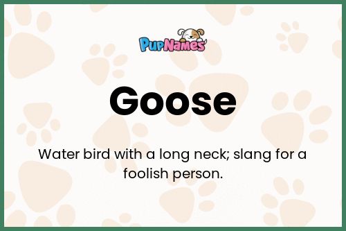 Goose dog name meaning