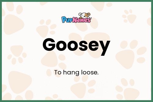 Goosey dog name meaning