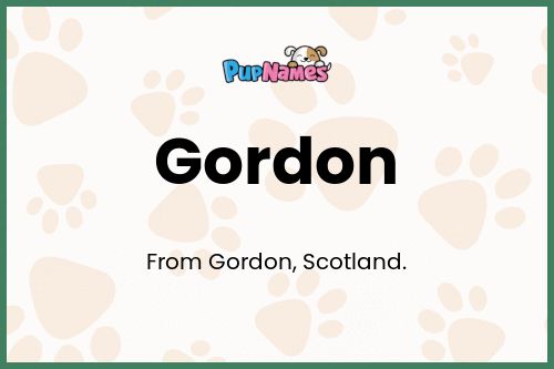 Gordon dog name meaning