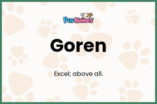 Goren dog name meaning