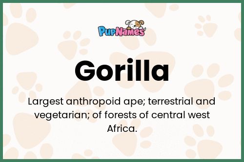 Gorilla dog name meaning