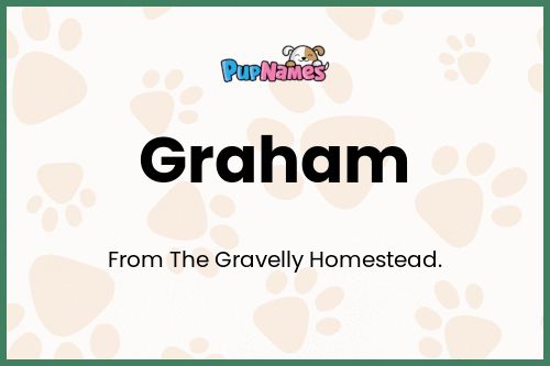 Graham dog name meaning