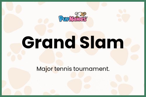 Grand Slam dog name meaning