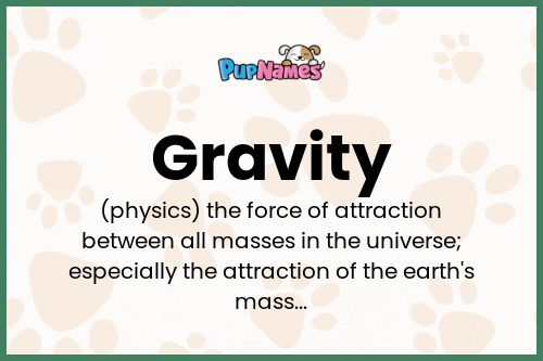 Gravity dog name meaning