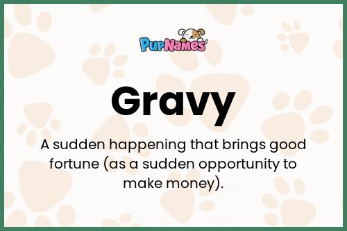 Gravy dog name meaning