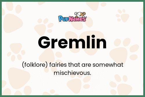 Gremlin dog name meaning