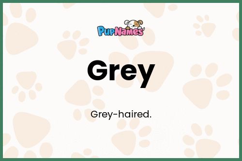 Grey dog name meaning