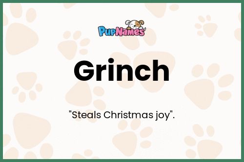 Grinch dog name meaning