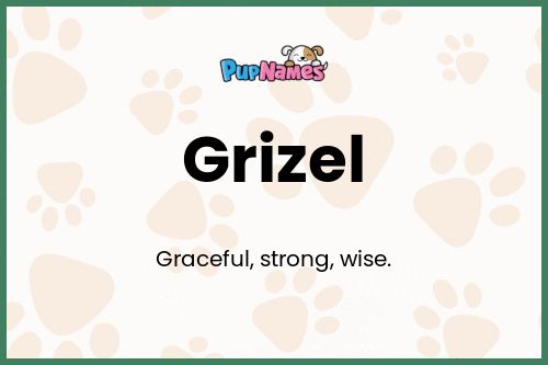 Grizel dog name meaning