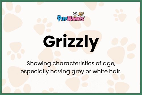 Grizzly dog name meaning