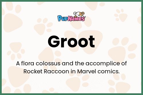 Groot dog name meaning