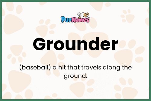 Grounder dog name meaning