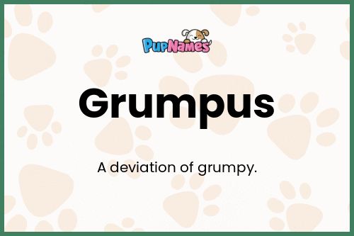 Grumpus dog name meaning