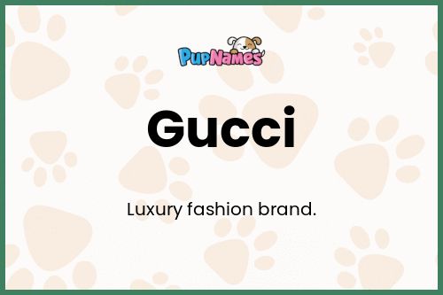 Gucci dog name meaning